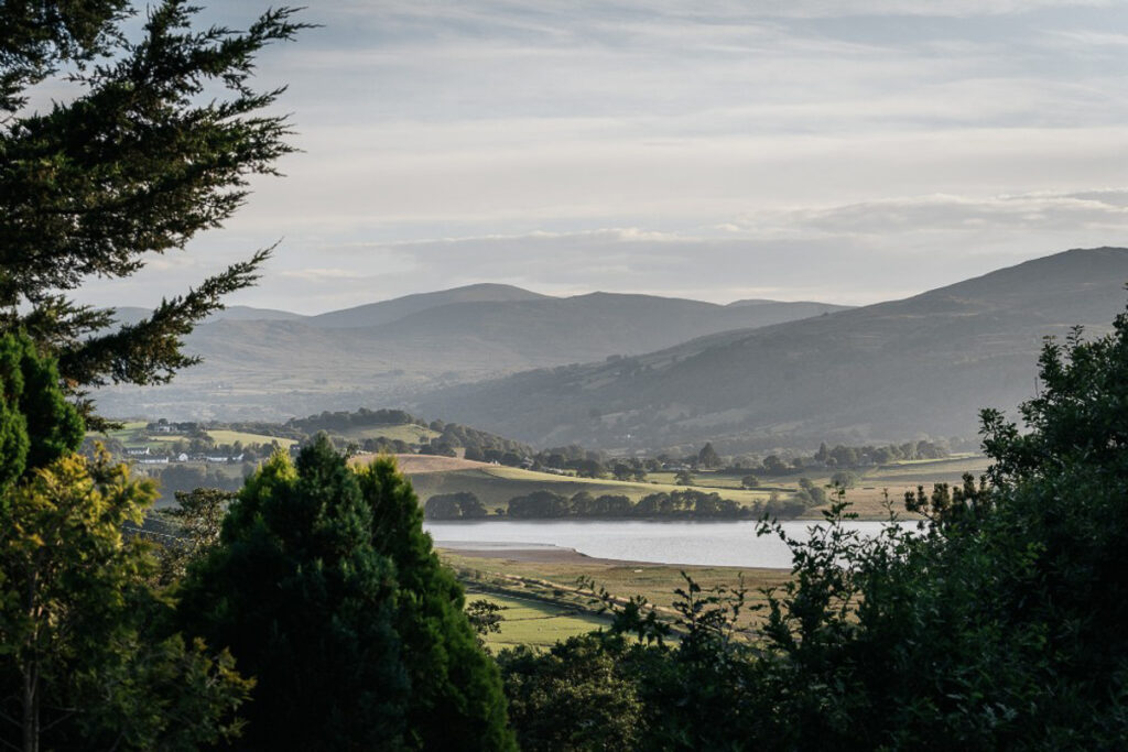 Tiệm Tranh 91